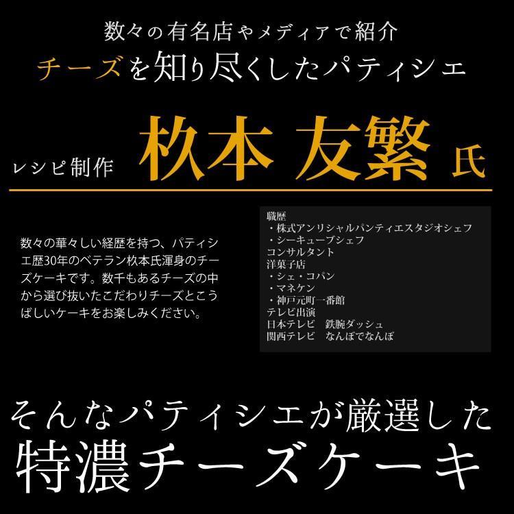 チーズケーキバー　【ベイクド】　500g（冷凍）訳あり　特濃チーズケーキバーベイクドチーズ　　チーズケーキ　BUKOチーズ　冷凍スイーツ |  | 05