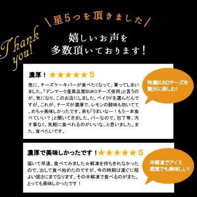 チーズケーキバー　【ベイクド】　500g（冷凍）訳あり　特濃チーズケーキバーベイクドチーズ　　チーズケーキ　BUKOチーズ　冷凍スイーツ |  | 07