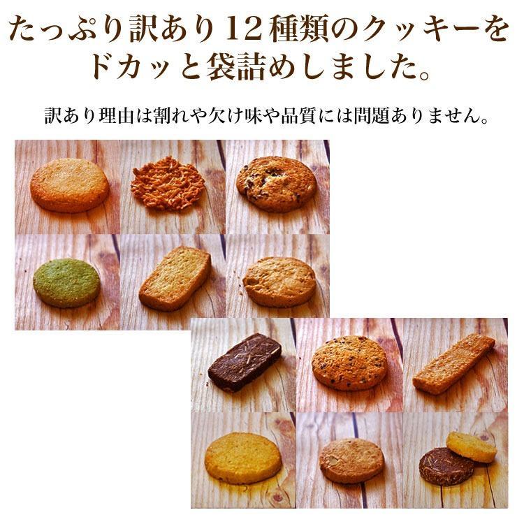 訳あり　ふぞろいのクッキー 12種800g　スイーツ店のこだわりクッキーに訳ありを800g　大容量　山盛り　メガ盛り　グルメ　スイーツ |  | 01