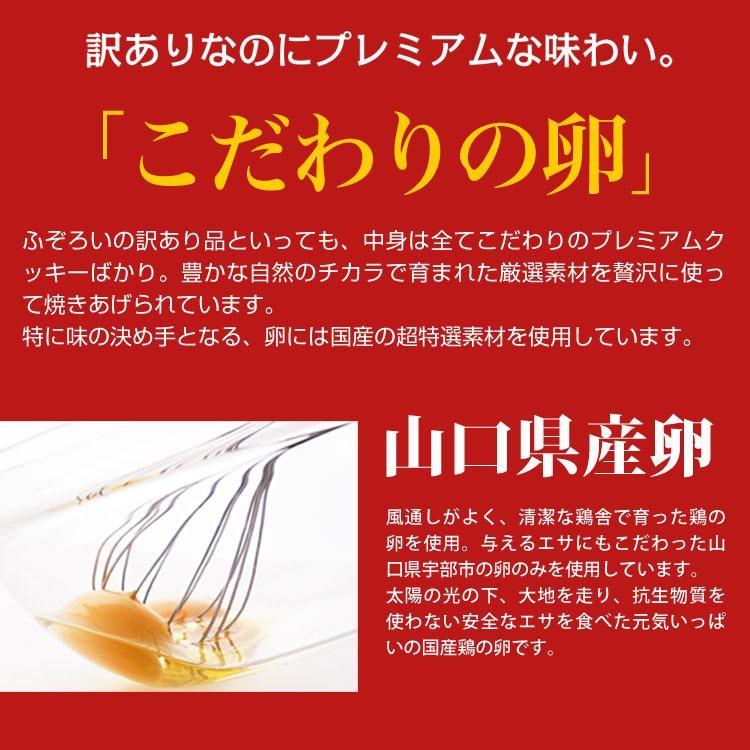 訳あり　ふぞろいのクッキー 12種800g　スイーツ店のこだわりクッキーに訳ありを800g　大容量　山盛り　メガ盛り　グルメ　スイーツ |  | 08