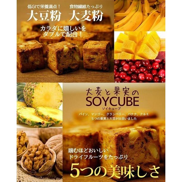 大麦と果実のソイキューブ 1600g 送料無料 訳あり スイーツ お菓子 蒲 
