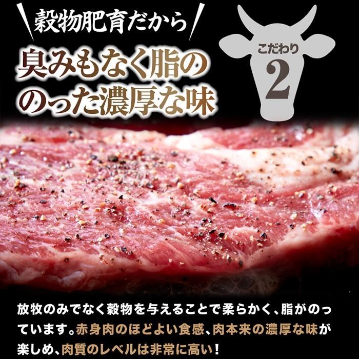 超特大 通常のステーキ3枚分 牛肩ロース熟成肉1ポンドステーキ(450g） |  | 03