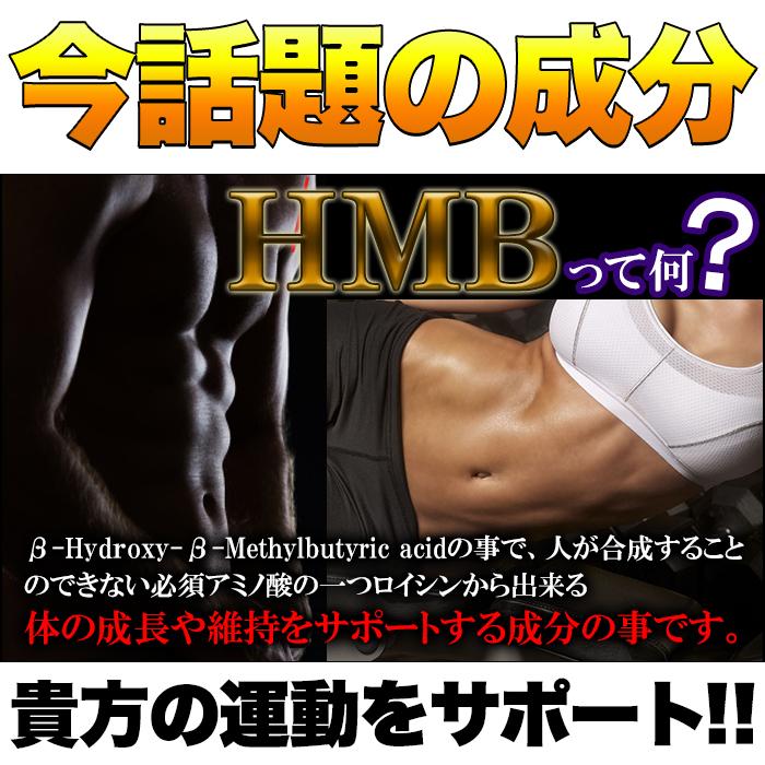 【送料無料(ゆうパケ)】HMB サプリメント(120粒/約4ヵ月分)/サプリ トレーニング 必須アミノ酸 タンパク質 大容量 国産 ポイント消化 ポスト投函 |  | 02