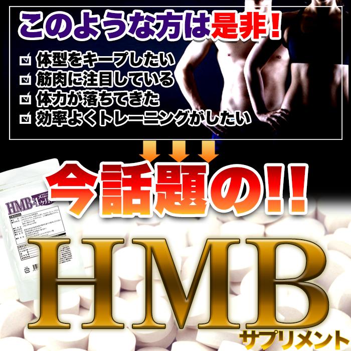 【送料無料(ゆうパケ)】HMB サプリメント(120粒/約4ヵ月分)/サプリ トレーニング 必須アミノ酸 タンパク質 大容量 国産 ポイント消化 ポスト投函 |  | 04