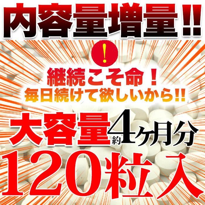 送料無料 黒セサミン＋スタミナ サプリメント 120粒/ 約4か月分 (SNC00010075)/サプリ マカ スッポン ツバメの巣 国産 ポスト投函 ポイント消化｜sweets2