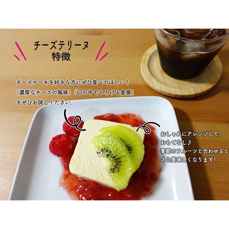 期間限定送料無料 チーズケーキ スイーツ セット 送料無料 絶品 取り寄せ 誕生日 テリーヌ プリン 洋菓子 プレゼント 贈り物 ハロウィン クリスマス デザート Wantannas Go Id