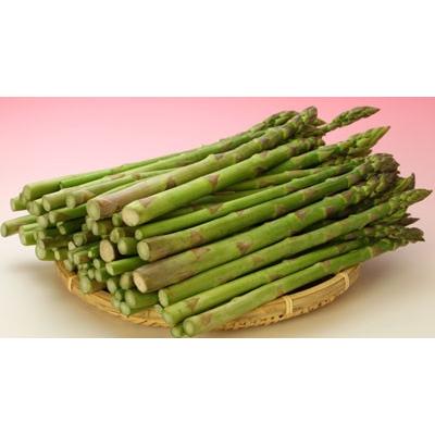 生で食べれる アスパラガス 北海道 グリーン アスパラ 1kg 富良野産 送料無料　朝採れ新鮮 甘くて美味しい 業務用 家庭用 人気野菜　ギフト |  | 01