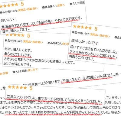 生で食べれる アスパラガス 北海道 グリーン アスパラ 1kg 富良野産 送料無料　朝採れ新鮮 甘くて美味しい 業務用 家庭用 人気野菜　ギフト |  | 19