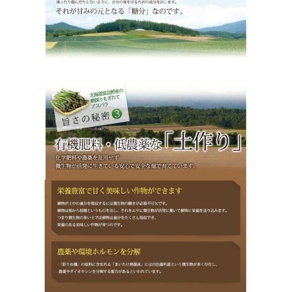 生で食べれる アスパラガス 北海道 グリーン アスパラ 1kg 富良野産 送料無料　朝採れ新鮮 甘くて美味しい 業務用 家庭用 人気野菜　ギフト |  | 08