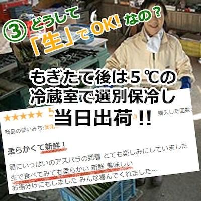 アスパラガス 北海道 グリーン アスパラ 訳あり 1kg 富良野産 送料無料｜sweetvegetable｜09