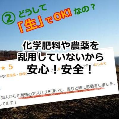 遅れてゴメンネ 母の日ギフト カーネーション付き！北海道富良野産　グリーンアスパラ　Ｌサイズ　１ｋｇ｜sweetvegetable｜05