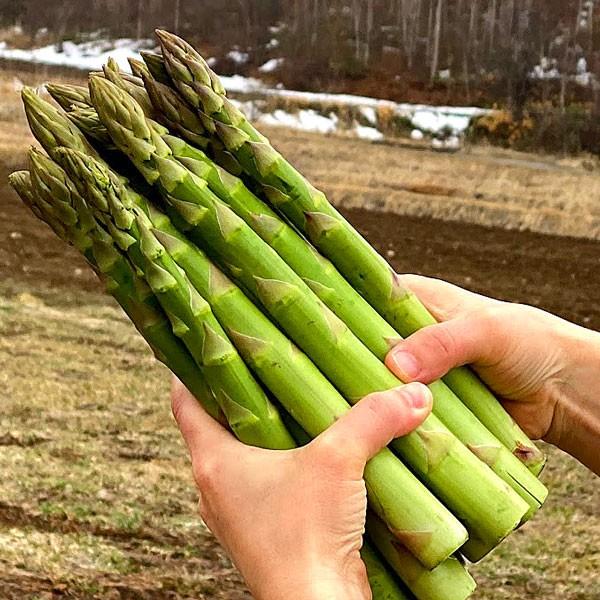 アスパラ 北海道 グリーン アスパラガス 4L 超極太 1kg 富良野産 送料 