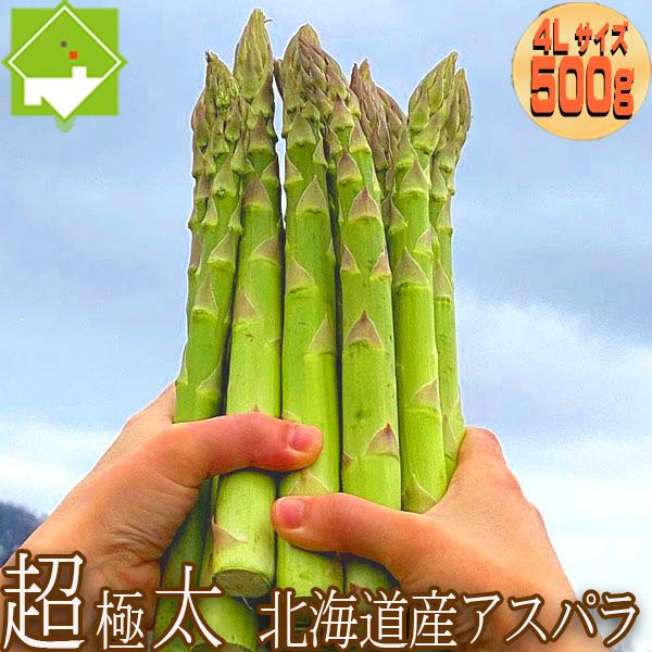 アスパラガス 北海道 グリーン アスパラ 超極太 4Lサイズ 500g 富良野