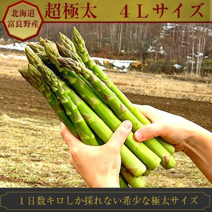 アスパラガス 北海道 グリーン アスパラ 超極太 4Lサイズ 500g 富良野