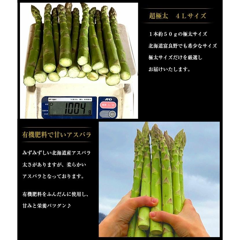 アスパラガス 北海道 グリーン アスパラ 超極太 4Lサイズ 500g 富良野