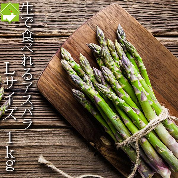 アスパラガス 北海道 富良野産 ハウス栽培 グリーンアスパラ Lサイズ １ｋｇ 送料無料 4月