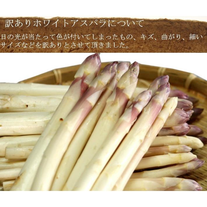 アスパラガス 訳あり　ホワイトアスパラ　北海道富良野産　１ｋｇ詰め　送料無料｜sweetvegetable｜06