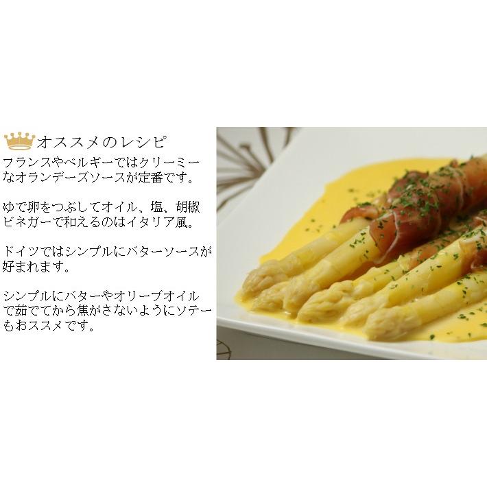アスパラ　北海道富良野産（秀品）ホワイトアスパラ　１ｋｇ　Ｌサイズ以上　送料無料 |  | 06