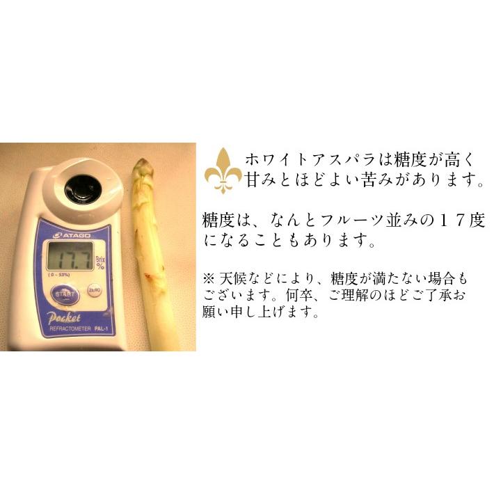 アスパラ　北海道富良野産（秀品）ホワイトアスパラ　１ｋｇ　Ｌサイズ以上　送料無料 |  | 09