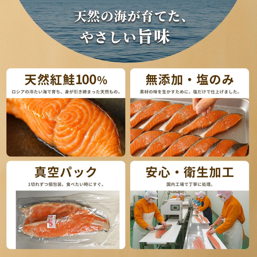 天然紅鮭 約1kg 冷凍 美味しい 紅シャケ べにしゃけ 甘塩鮭 紅さけ