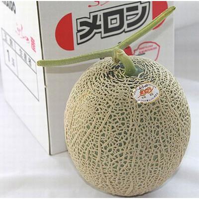 メロン マスクメロン 北海道 富良野メロン 特大3Lサイズ 2kg以上 1玉