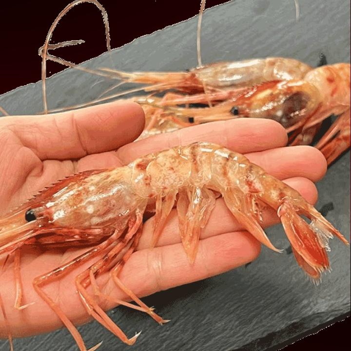 極上ボタンエビ　2キロ　冷凍 北海道産 ボタンエビ (生冷凍) 2kg お刺身用 ギフト 特大 2L 送料無料
