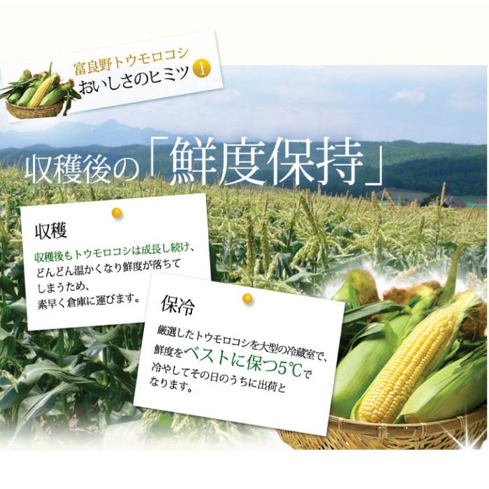 とうもろこし 訳あり 10本 恵味 Lサイズ 北海道 富良野産 送料無料