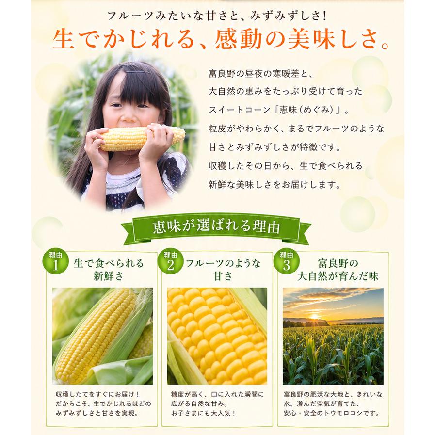 とうもろこし 生で食べれる 恵味 10本 2Lサイズ 北海道 富良野産 送料