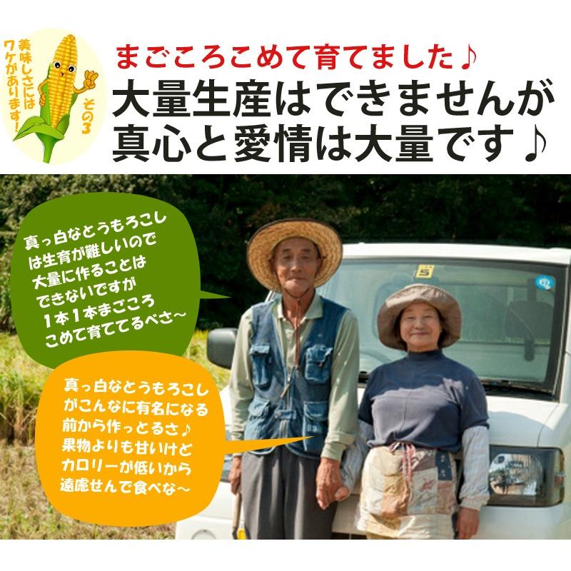 白いとうもろこし 訳あり 北海道 富良野産 ピュアホワイト ５本 送料無料 |  | 05