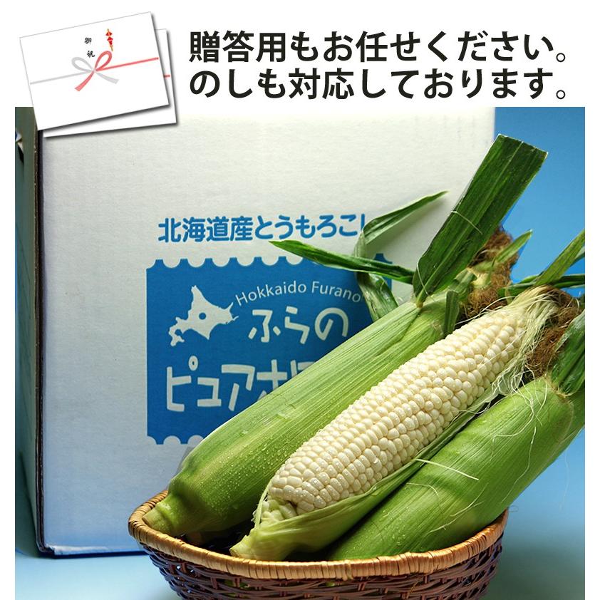 とうもろこし 訳あり ピュアホワイト 10本 北海道 富良野産 白い