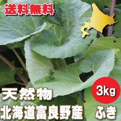 2025年春ご予約販売 ふき 天然物 無農薬 北海道富良野産 3kg 送料 