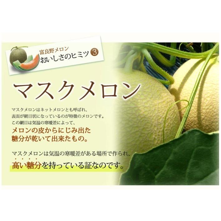 2024年ご予約販売 メロン 富良野メロン 北海道産 赤肉 秀品 Lサイズ 1玉 約１．２ｋｇ 送料無料｜sweetvegetable｜06