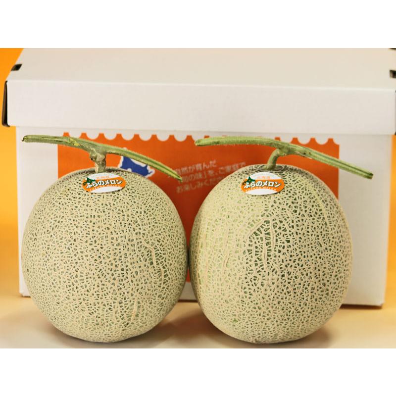 北海道 富良野メロン 赤肉メロン 秀品 Lサイズ 2玉 約1.2kg×2 送料無料