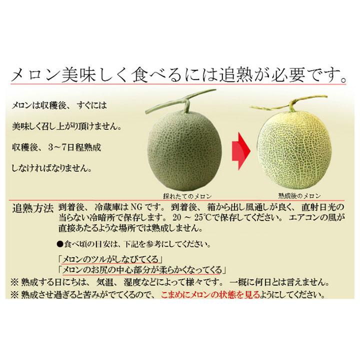 北海道 富良野メロン 赤肉メロン 秀品 Lサイズ 2玉 約1.2kg×2 送料無料
