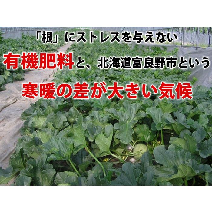 2024年ご予約販売 メロン 富良野メロン 北海道産 赤肉 秀品 Lサイズ 1.2kg前後 3玉 送料無料｜sweetvegetable｜11