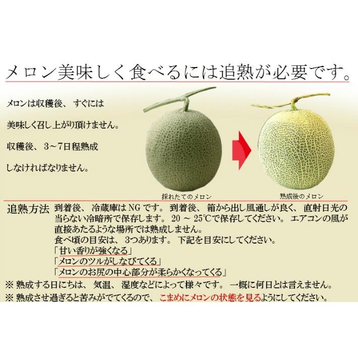メロン 富良野メロン 北海道産 赤肉 秀品 Lサイズ 1.2kg前後 3玉 送料
