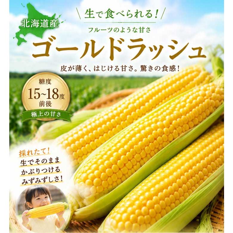 とうもろこし ゴールドラッシュ 5本 北海道 富良野産 送料無料