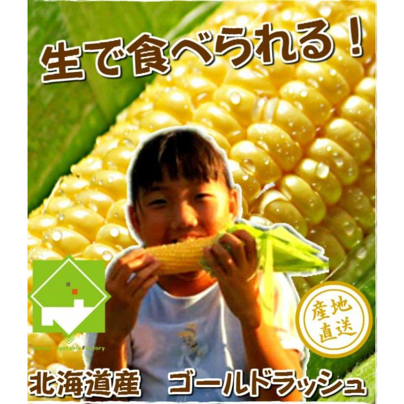 とうもろこし ゴールドラッシュ 5本 北海道 富良野産 送料無料