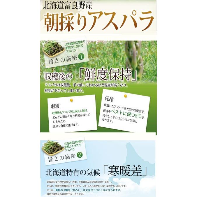アスパラガス 北海道 グリーン アスパラ 極太 2Lサイズ 1.5kg 富良野