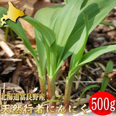 行者にんにく アイヌネギ 北海道富良野産 ５００ｇ 送料無料 Gyoujya001 スイートベジタブルファクトリー 通販 Yahoo ショッピング