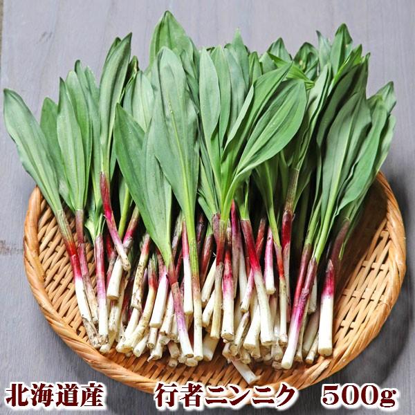 行者にんにく 北海道富良野産 500g 送料無料 日時指定不可 別途