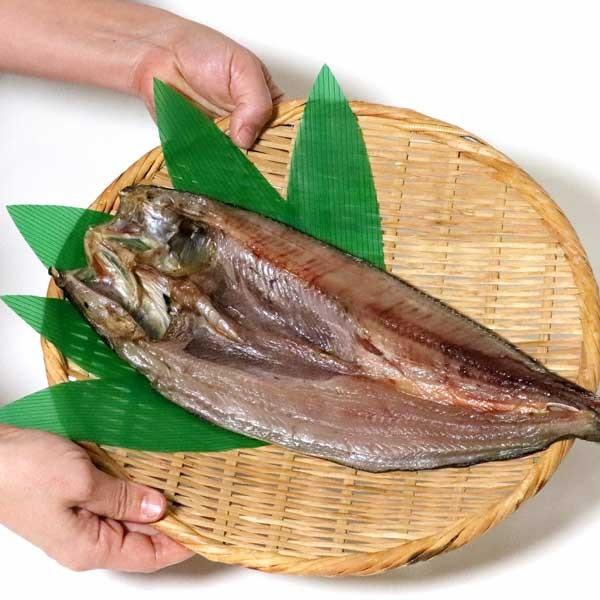 卸売り 開きほっけ 北海道産 約0ｇ 2枚 送料無料 別途送料が発生する地域あり ホッケ 干物 Materialworldblog Com