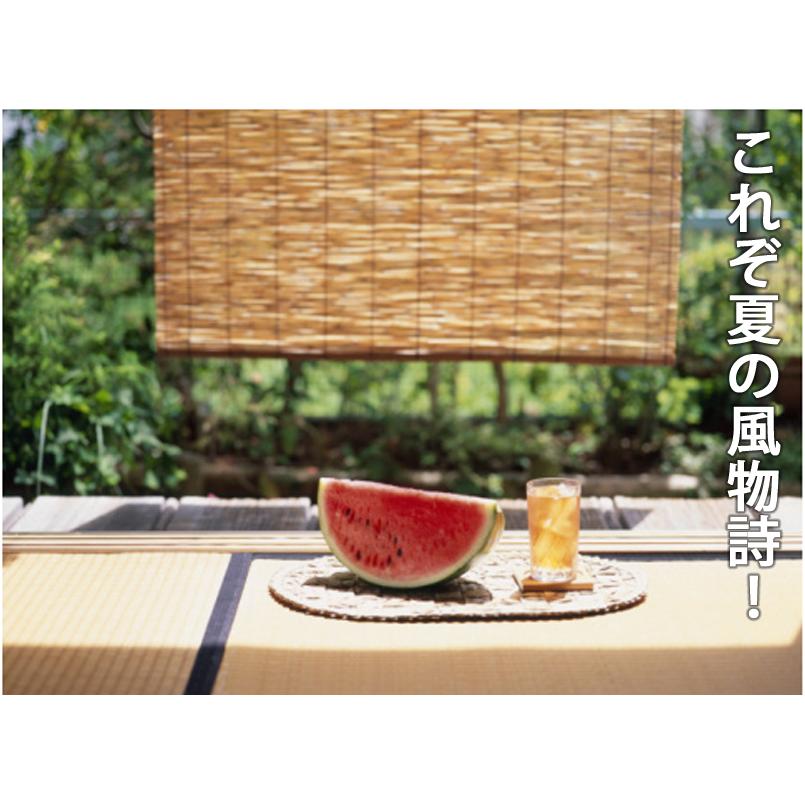 すいか スイカ 西瓜 北海道 富良野産 特大スイカ 4Lサイズ 8kg以上 1