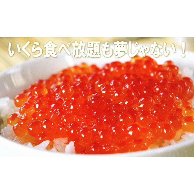 鱒 いくら 醤油漬け 1kg 約12人前 化粧箱なし 送料無料 別途送料が発生する地域ありの画像