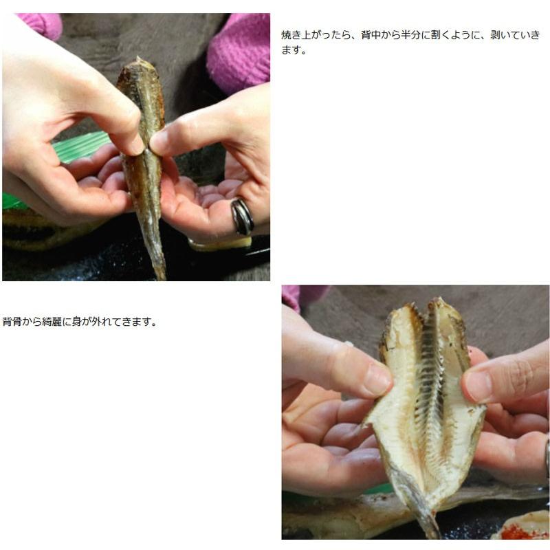こまい 一夜干し 生干し 北海道産 1kg 送料無料 氷下魚(こまい こまい 一夜干し 生干し 北海道産 1kg 送料無料 氷下魚(こまい