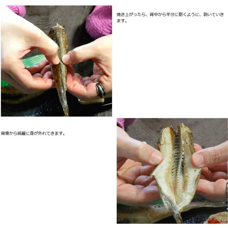 こまい 一夜干し 生干し 北海道産 1kg 送料無料 氷下魚（こまい） 別途送料が発生する地域あり｜sweetvegetable｜08