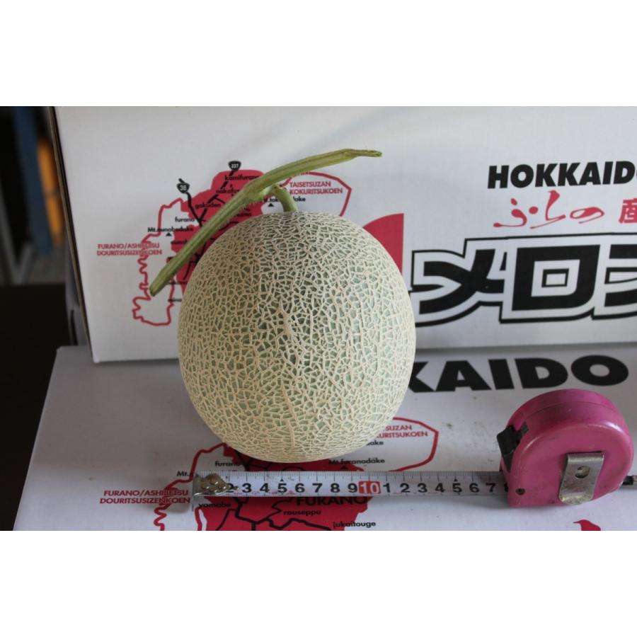 メロン 富良野メロン 北海道産 赤肉 秀品 2Lサイズ 2玉 約1.5kg以上