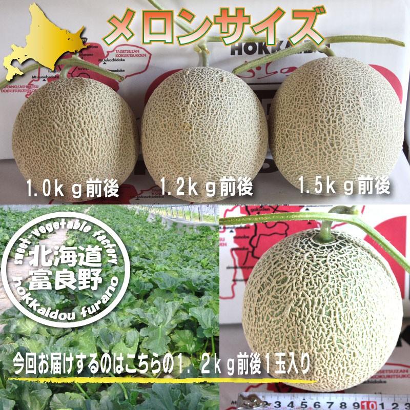 メロン 富良野メロン 北海道富良野産 赤肉 訳あり 1.4kg前後 1玉入り