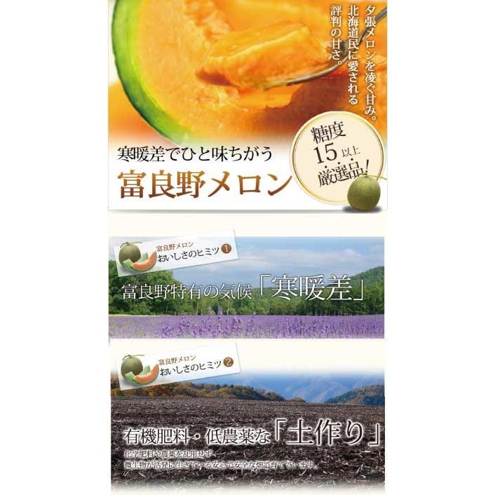 メロン 北海道 富良野産 富良野メロン 赤肉 秀品 2Lサイズ 4玉 送料