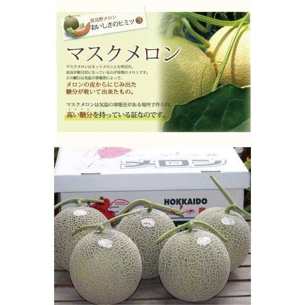 メロン 北海道 富良野産 富良野メロン 赤肉 秀品 2Lサイズ 4玉 送料